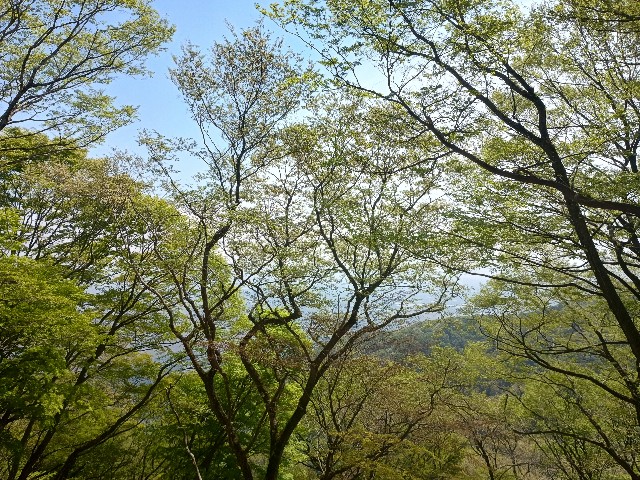 f:id:developingexplorer:20250506124811j:image f:id:developingexplorer:20250506124811j:image