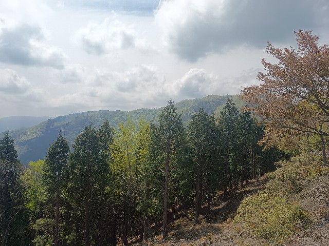 f:id:developingexplorer:20250506130225j:image f:id:developingexplorer:20250506130225j:image