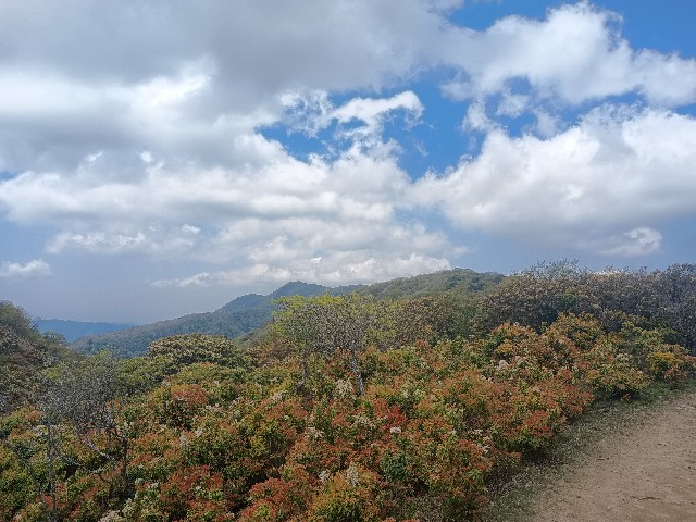 f:id:developingexplorer:20250510073546j:image f:id:developingexplorer:20250510073546j:image