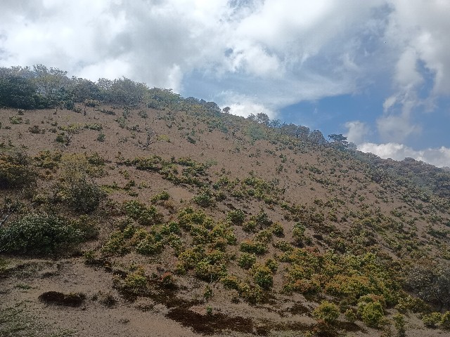 f:id:developingexplorer:20250510073558j:image f:id:developingexplorer:20250510073558j:image