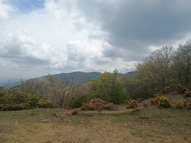 f:id:developingexplorer:20250510073616j:image f:id:developingexplorer:20250510073616j:image