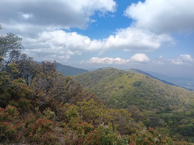 f:id:developingexplorer:20250510073835j:image f:id:developingexplorer:20250510073835j:image