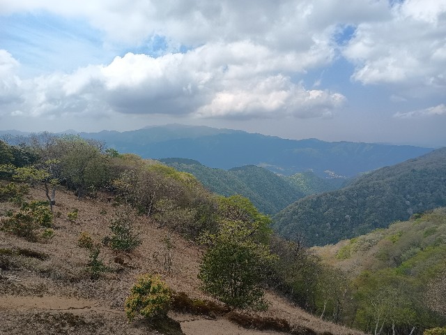 f:id:developingexplorer:20250510073918j:image f:id:developingexplorer:20250510073918j:image