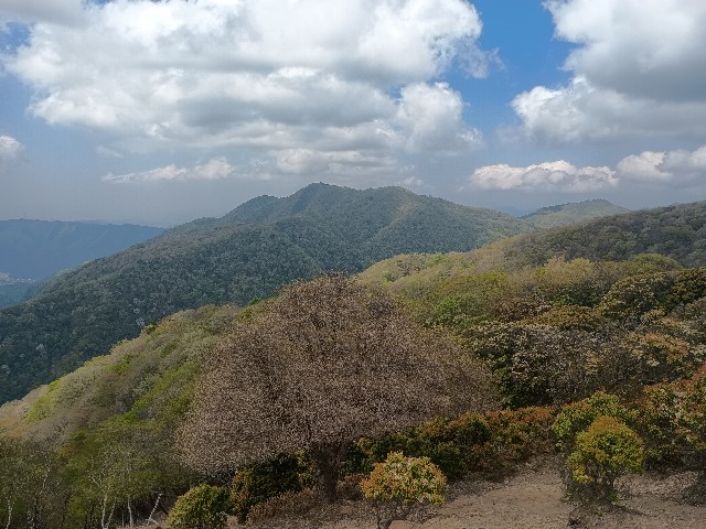f:id:developingexplorer:20250510073934j:image f:id:developingexplorer:20250510073934j:image