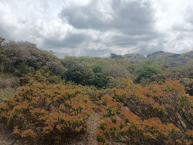 f:id:developingexplorer:20250510074003j:image f:id:developingexplorer:20250510074003j:image
