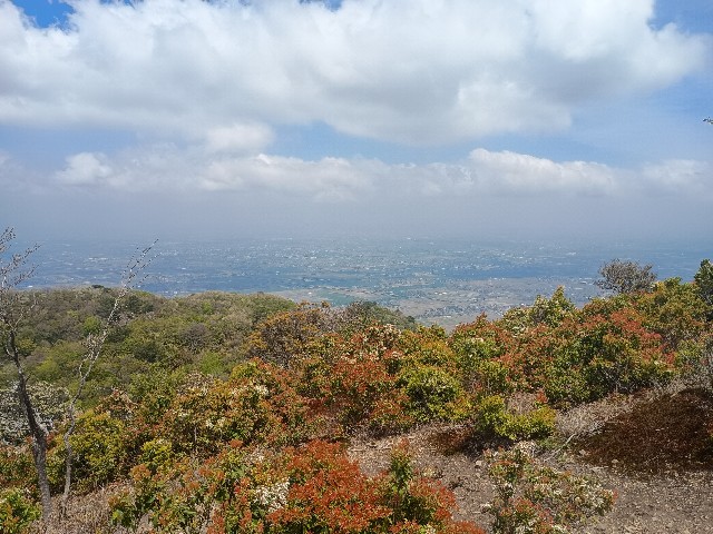 f:id:developingexplorer:20250510074020j:image f:id:developingexplorer:20250510074020j:image