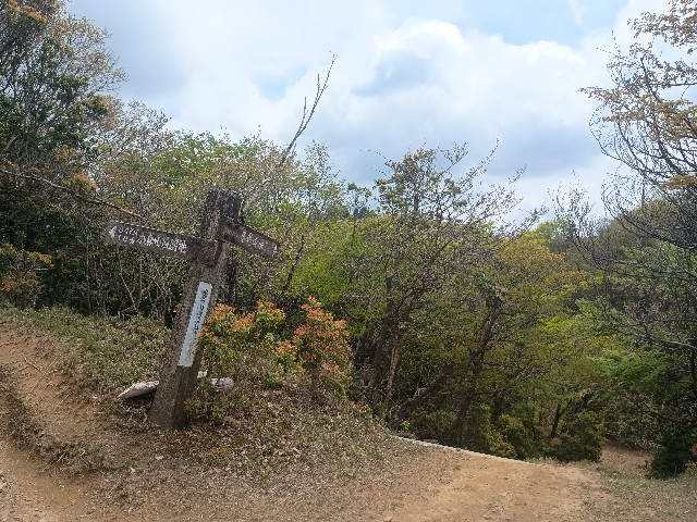 f:id:developingexplorer:20250510074132j:image f:id:developingexplorer:20250510074132j:image