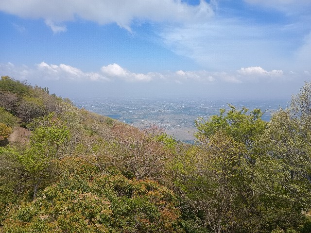 f:id:developingexplorer:20250510074836j:image f:id:developingexplorer:20250510074836j:image