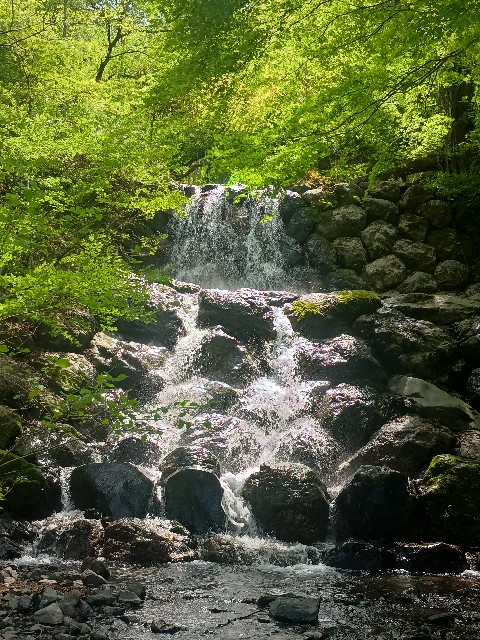 f:id:developingexplorer:20250510075050j:image f:id:developingexplorer:20250510075050j:image