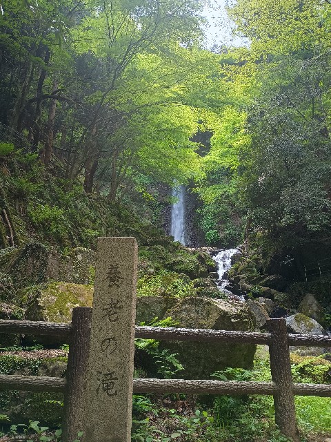 f:id:developingexplorer:20250510075214j:image f:id:developingexplorer:20250510075214j:image