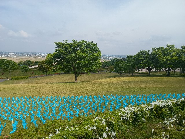 f:id:developingexplorer:20250510075326j:image f:id:developingexplorer:20250510075326j:image