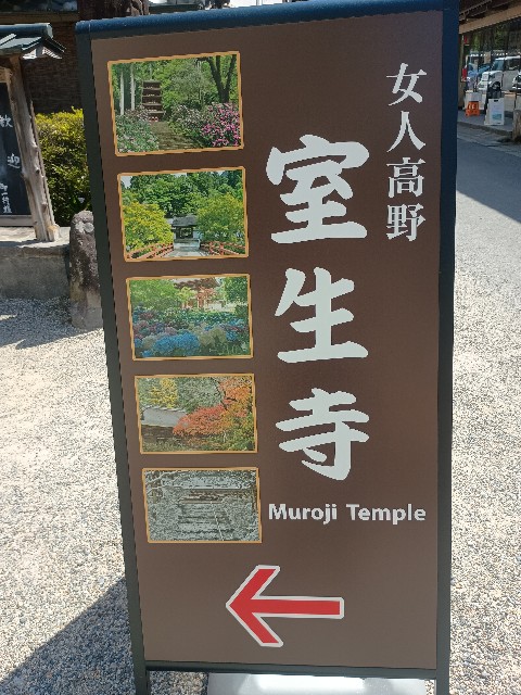 f:id:developingexplorer:20250518072551j:image