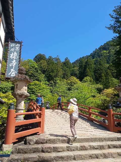f:id:developingexplorer:20250518072610j:image