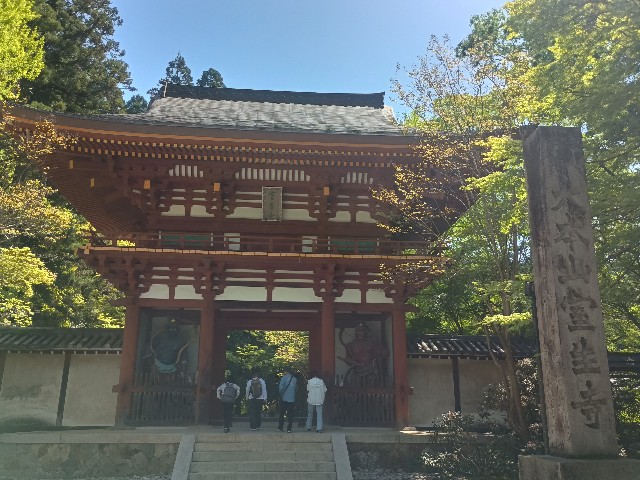 f:id:developingexplorer:20250518073209j:image
