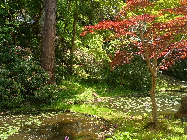 f:id:developingexplorer:20250518073230j:image
