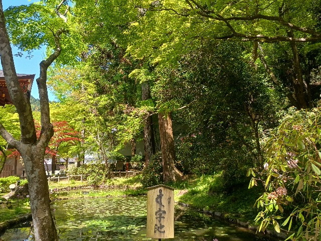 f:id:developingexplorer:20250518073243j:image