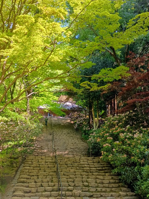 f:id:developingexplorer:20250518073816j:image