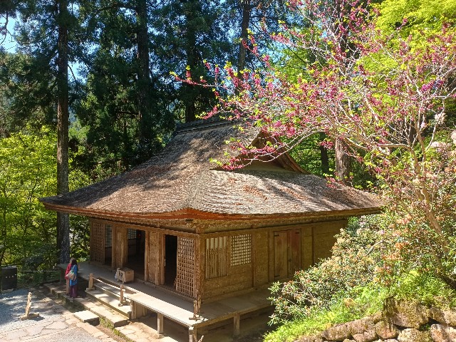 f:id:developingexplorer:20250518074553j:image
