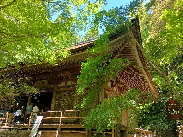 f:id:developingexplorer:20250518074728j:image