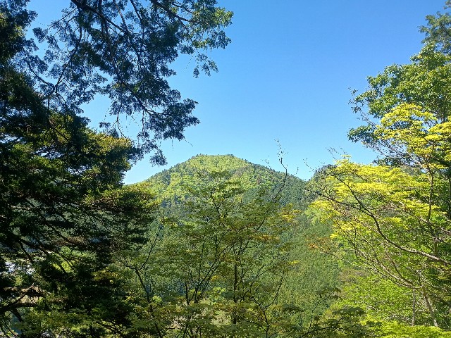 f:id:developingexplorer:20250518075730j:image