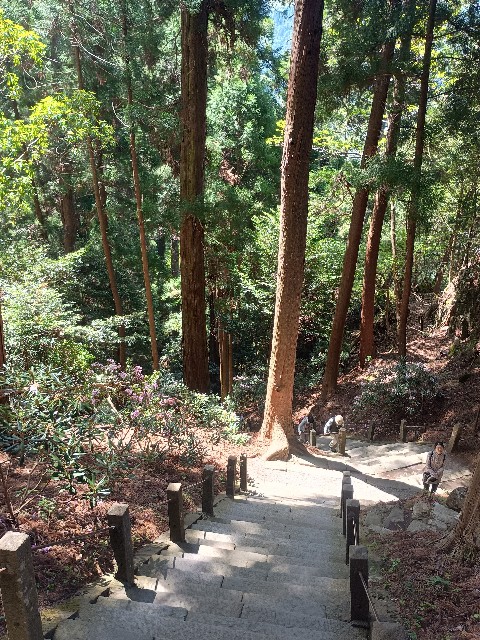 f:id:developingexplorer:20250518075827j:image