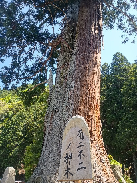 f:id:developingexplorer:20250518080242j:image