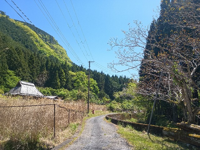 f:id:developingexplorer:20250524171207j:image f:id:developingexplorer:20250524171207j:image