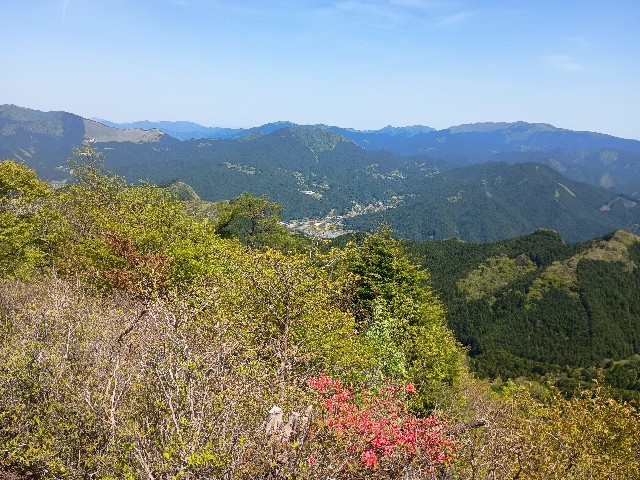 f:id:developingexplorer:20250524172601j:image f:id:developingexplorer:20250524172601j:image