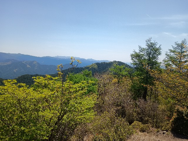 f:id:developingexplorer:20250524172608j:image f:id:developingexplorer:20250524172608j:image