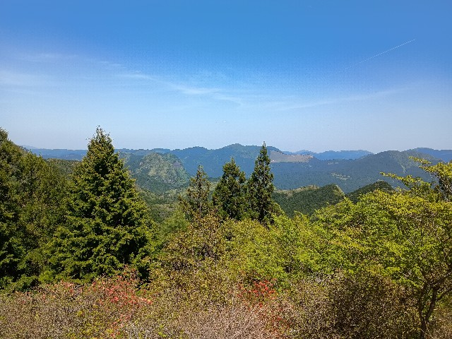 f:id:developingexplorer:20250524172932j:image f:id:developingexplorer:20250524172932j:image