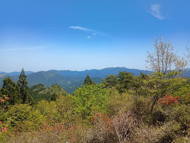 f:id:developingexplorer:20250524172952j:image f:id:developingexplorer:20250524172952j:image