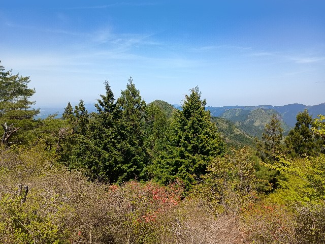f:id:developingexplorer:20250524173022j:image f:id:developingexplorer:20250524173022j:image