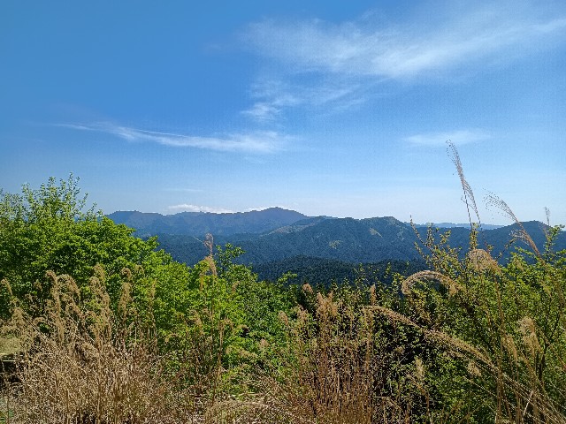 f:id:developingexplorer:20250524173428j:image f:id:developingexplorer:20250524173428j:image