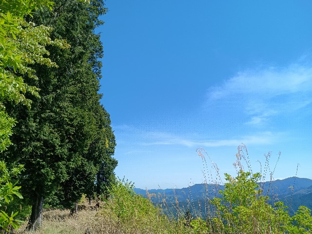 f:id:developingexplorer:20250524173435j:image f:id:developingexplorer:20250524173435j:image
