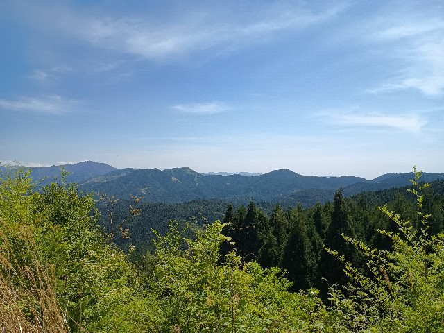 f:id:developingexplorer:20250524173447j:image f:id:developingexplorer:20250524173447j:image