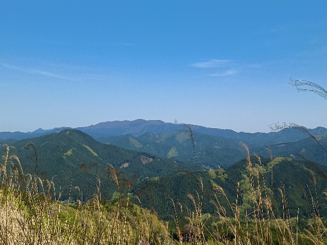 f:id:developingexplorer:20250524173516j:image f:id:developingexplorer:20250524173516j:image