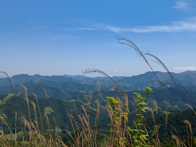 f:id:developingexplorer:20250524173524j:image f:id:developingexplorer:20250524173524j:image