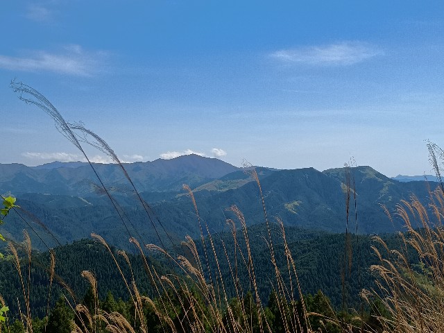 f:id:developingexplorer:20250524173530j:image f:id:developingexplorer:20250524173530j:image