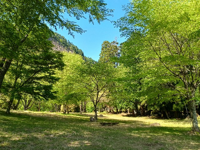 f:id:developingexplorer:20250524173647j:image f:id:developingexplorer:20250524173647j:image