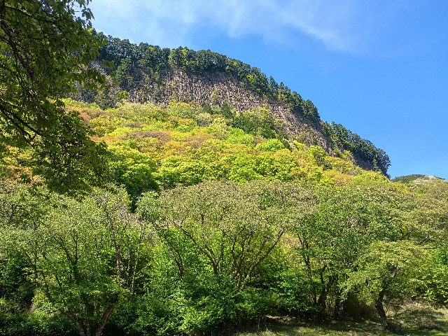 f:id:developingexplorer:20250524173710j:image f:id:developingexplorer:20250524173710j:image