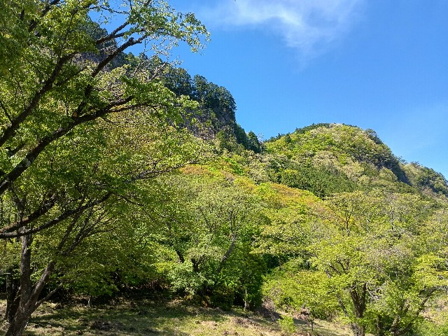 f:id:developingexplorer:20250524173801j:image f:id:developingexplorer:20250524173801j:image