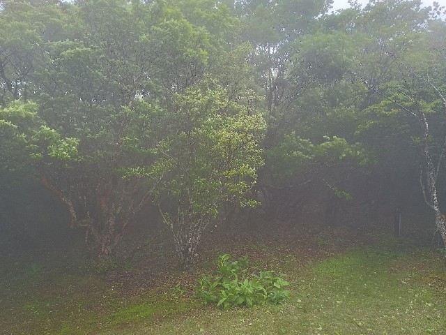 f:id:developingexplorer:20250614190432j:image