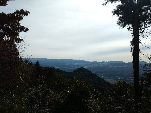 f:id:developingexplorer:20250621181508j:image