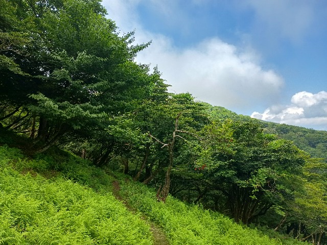 f:id:developingexplorer:20250721122259j:image