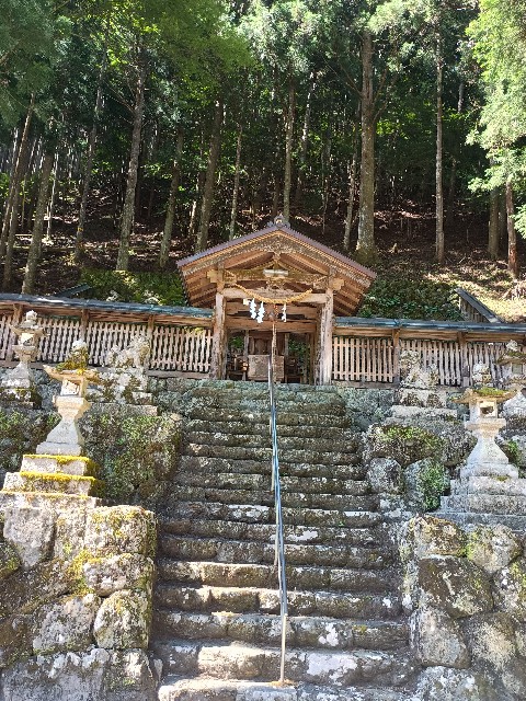 f:id:developingexplorer:20250809161351j:image