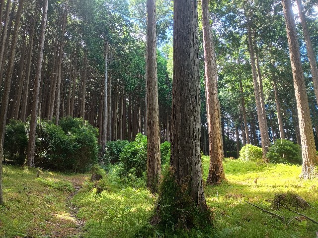 f:id:developingexplorer:20250809162236j:image