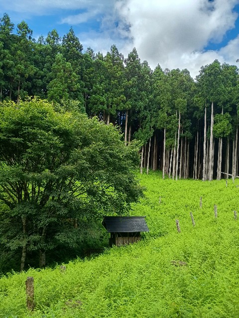 f:id:developingexplorer:20250809162317j:image