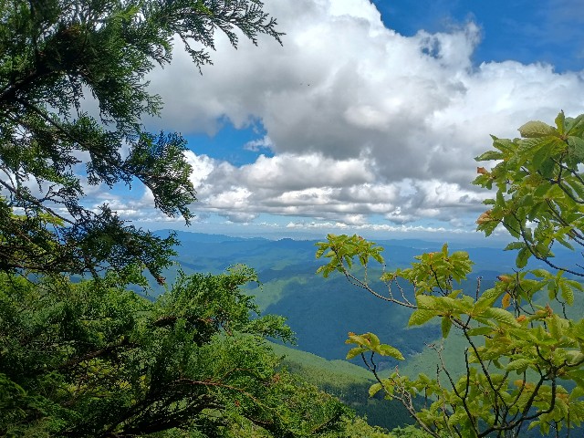 f:id:developingexplorer:20250809163354j:image