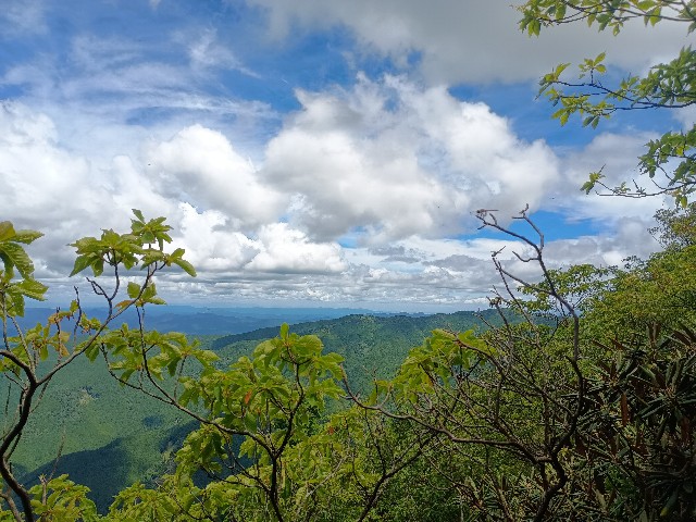 f:id:developingexplorer:20250809163408j:image