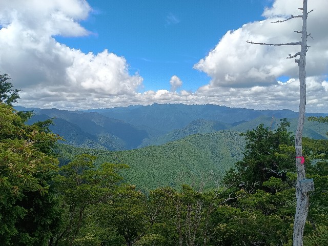 f:id:developingexplorer:20250809164319j:image